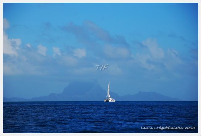 Raiatea015.JPG
